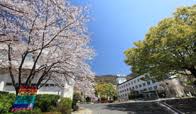 The website collected by this website comes from the. é–¢è¥¿å‰µä¾¡é«˜ç­‰å­¦æ ¡ å¤§é˜ªåºœ ã®é€²å­¦æƒ…å ± é«˜æ ¡é¸ã³ãªã‚‰jsæ—¥æœ¬ã®å­¦æ ¡