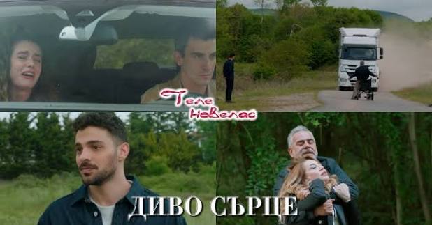 Telenovellas - Утре в "Диво сърце": Яман разобличава Серхан пред всички и  Чагла му дава записа; Серхан отвлича Неслихан (29 май)  https://tvnovellas.blogspot.com/2026/05/29_01094616886.html | Facebook