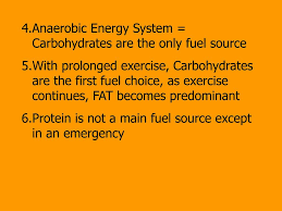 Energy is stored in the body in various forms of carbohydrates, fats, and proteins as well as in the molecule creatine phosphate. Ppt Energy Systems For Exercise Powerpoint Presentation Free Download Id 6671207