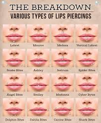 We did not find results for: Lip Labret Piercing Information Aftercare Urbanbodyjewelry Com