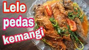 Kumpulan resep olahan ikan lele. Resep Olahan Ikan Lele Resep Masakan Ikan Lele Resep Ikan Lele Pedas Channel Bunda Boycis Youtube