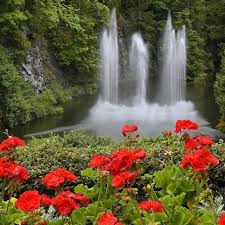 10 Best Waterfall And Flowers Wallpaper Full Hd 1080p For Pc Desktop 2018 Free Download Waterfalls Nature Waterfalls Flowe Waterfall Waterfall Wallpaper Nature