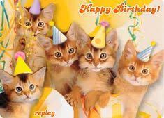 20 Mahnoor Ideas In 2021 Happy Birthday Free Happy Birthday Wishes Happy Birthday Pictures For your search query happy birthday shireen mp3 we have found 1000000 songs matching your query but showing only top 20 results. pinterest