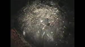 Lift your spirits with funny jokes, trending memes, entertaining gifs, inspiring stories, viral videos, and so much. Footage Of The Chernobyl Elephant S Foot Video
