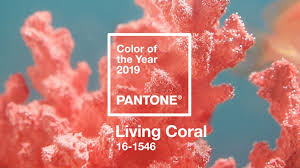 Living Coral Is Pantones 2019 Color Of The Year Adweek
