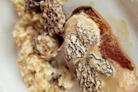 Recette Simple De Veau Aux Morilles Recette Morilles Filet Mignon De Veau