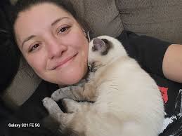 Lost cat in Englevale area