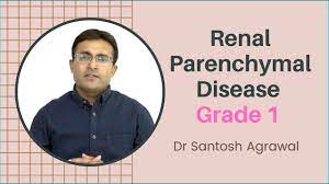 Bilateral renal parenchymal disease grade 1/grade 2 /grade 3/grade 4 : Renal Parenchymal Disease Grade 1 I Causes And Treatment I Grade 1 Kidney Failure Youtube