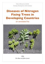 Image result for Sesbania macowaniana