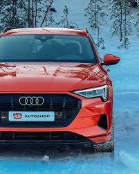 Image result for Catalunya Red 2020 E-Tron