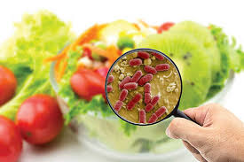 Trong tự nhiên có rất nhiều vi sinh vật có lợi 