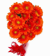 Our online bouquet delivery in delhi has been appreciated by clients time and again. Online Flower Delivery In Delhi Buy Flower In Delhi Cakegift