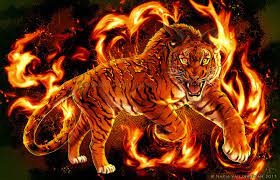 Tons of awesome cool tiger wallpapers to download for free. Feral Fire Big Cats Art Tiger Art Mythical Creatures Art