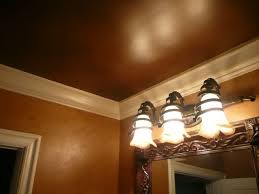 Suzy Mills Bronze Metallic Ceiling With Black Fox In Dining Room And Or In Powder Room I Think I Dig It Painted Ceiling Home Ceiling Ceiling