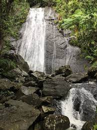 3116 km 2.5 los veterano ave., guanica, 00647 puerto rico ~26.12 miles south of la coca falls. La Coca Falls Review Of El Yunque National Forest Rio Grande Puerto Rico Tripadvisor