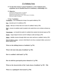 Meet The Mollusks Mathinscience Info