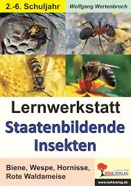 Lernwerkstatt Staatenbildende Insekten Unterrichtsmaterial In Den Fachern Biologie Sachunterricht Insekten Waldameisen Lernen