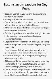Best Instagram Captions For Dog Posts Good Instagram Captions Instagram Captions Instagram Quotes Captions