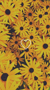 Wallpaper Flowers Yellow Iphonewallpaper Tumblr Floral Summer Pretty P Wallpaper Iphone Summer Aesthetic Iphone Wallpaper Backgrounds Phone Wallpapers