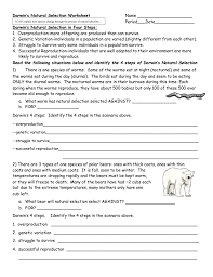 Individuals have a lot more offspring than they should. Darwin S Natural Selection Worksheet