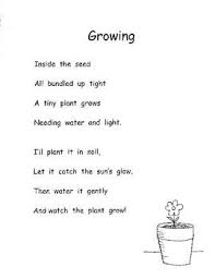Plants Life Cycle Planting Seeds Poetry Sequencing Common Core Inc Plans K 1 Plant Life Cycle Kindergarten Poems Preschool Poems