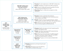 Fig Skilled Nursing Facility Collaborative Governance