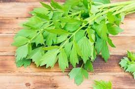 Check spelling or type a new query. Nampaknya Kurang Popular Siapa Sangka Sederet Tanaman Ini Ampuh Jadi Obat Alami Menurunkan Darah Tinggi Semua Halaman Grid Fame