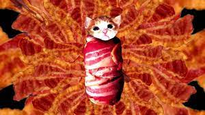 Bacon Cat In Hd Youtube