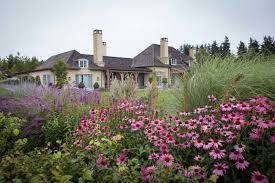 Garden At Mount Algidus In Nz Modern Garden Modern Garden Design Small Garden Design