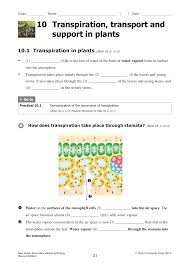 Animal cell cultures originate from tissue explants or cell suspensions as primary cell cultures which can be subcultured with a limited life span. Ws Ch10 E