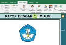 Aplikasi Raport Kurikulum 2013 Revisi 2017 Lengkap Semua Kelas Kurikulum Aplikasi Ekstrakurikuler