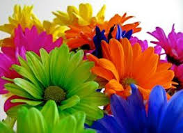 Upload custom graphics here to use in the. Neon Daisies