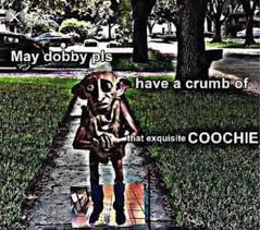 Spare Coochie Please 9gag