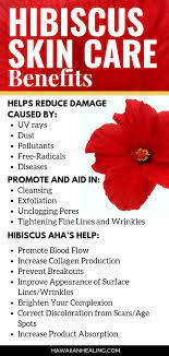 Organic Hawaiian Hibiscus Flower Extract Skin Care Benefits Hawaiian Healing Hawaiianhealin Skin Care Benefits Natural Anti Aging Skin Care Natural Skin Care