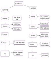 Cbse Class 12 Chemistry Haloalkanes And Haloarenes Concept