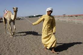 I heard a funny story about how camel dung came to be used in making seats for british war planes. Camel Dung Fuels Cement Production In Northern Uae Zawya Mena Edition