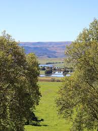 Round The Benz On The Kzn Midlands Meander Midland Meander Meander Midlands