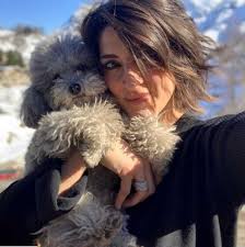 Marino bartoletti ha raccontato per la prima volta il suo tumore a oggi è un altro giorno: Elisa Isoardi Il Cane Zenit Divide I Fan Della Prova Del Cuoco Non E Igienico