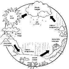 Water Cycle Coloring Page Water Cycle Cycle Drawing Coloring Pages
