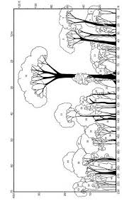 Image result for Pycreus fibrillosus