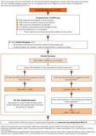 Copd Management Plan Self Nice Pdf Nhs Chronic Medication Gp