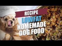Ideal for dogs suffering from pancreatitis or on a diet by bev cobley for bdws a pancreatic diet is first and foremost very low fat but also with no added processed sugars, so as an example in this. Pin On For The Animals
