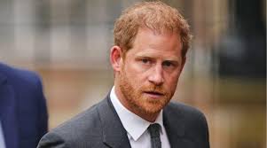 Prince Harry works to prove he's more than Meghan Markle's 'personal puppy'