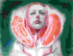 Elena Steiner's Instagram, Twitter & Facebook