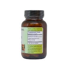 Image result for Paullinia pinnata