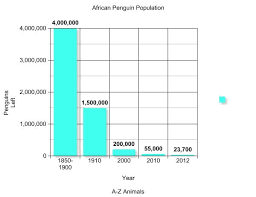 Graphs African Penguins