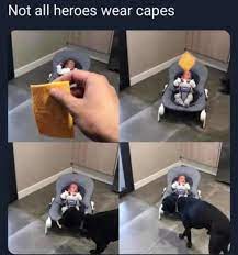 Get Down Mr Son Of A