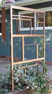 Various plants grow on a garden trellis such as climbing vines, grapes, and other plants. 15 Simply Gorgeous Trellis Ideas Weed Em Reap