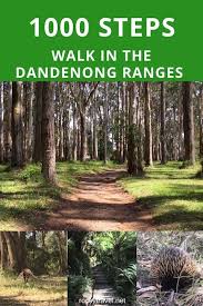 The 1000 Steps Walk The Best Walk Near Melbourne 1000 Steps Australia Vacation Desert Plants