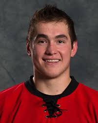 Micheal Ferland Stats and Player Profile